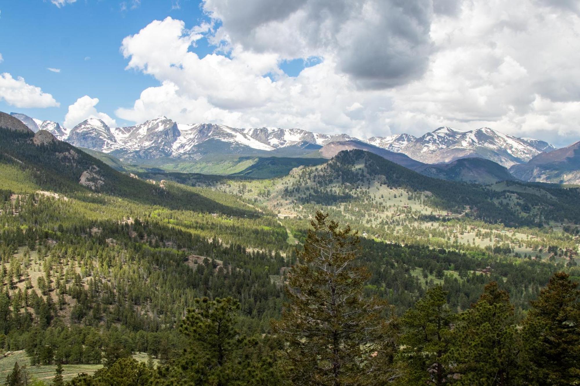 Casa De Cristal-Epic Views-Hottub-Sauna-Sleeps 10-Luxury Linens-Stocked Kitchen Estes Park Eksteriør bilde